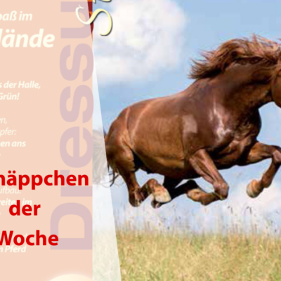 Fuchsfarbenes Pferd auf einer Wiese mit allen Vieren in der Luft