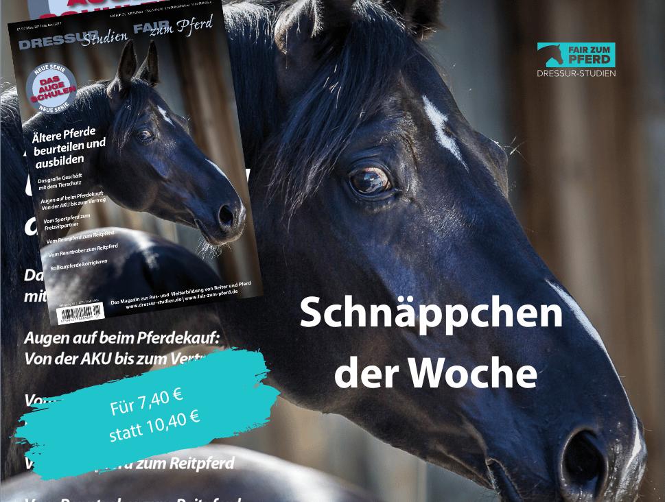 Schnäppchen der Woche: Ältere Pferde beurteilen und ausbilden