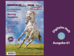 Ein Appalosa springt auf deer Weide in die Luft.