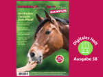 Pferd schnuppert an Menschenhand.