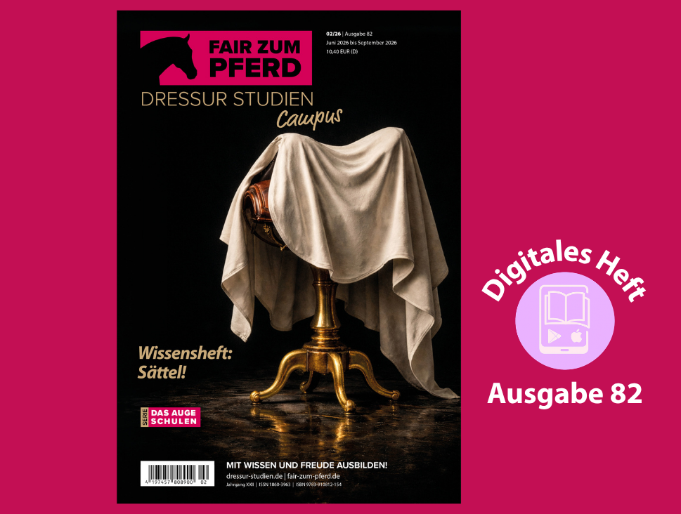 Titelbild mit einem abgedeckten Sattel, der auf einem Hocker liegt.