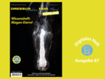 Rappe mit großer Blesse schaut den Betrachter an.