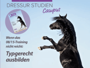 Auszug des Titelbildes: Steigender Rappe vor blauem Himmel.