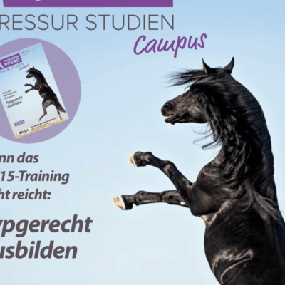 Auszug des Titelbildes: Steigender Rappe vor blauem Himmel.