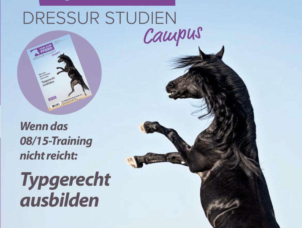 Das neue Heft ist im Druck! Typgerecht trainieren!