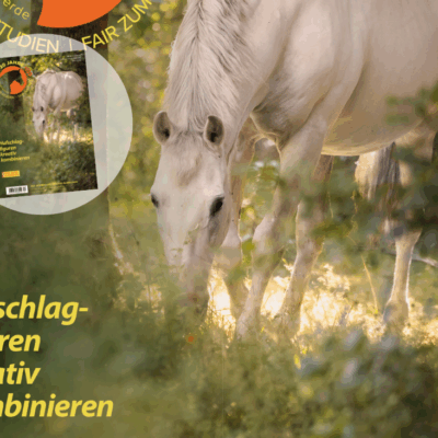 Schimmel grast neben dem Baum.