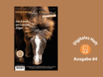 Ein braunes Pony, das auf den Boden schaut.