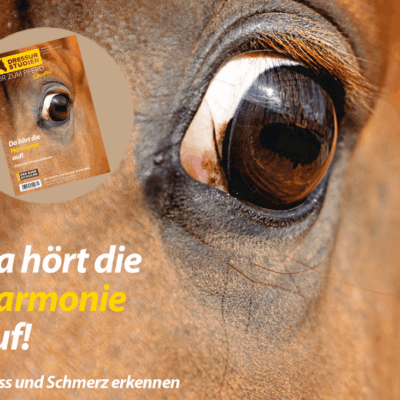Ängstliches Pferdeauge