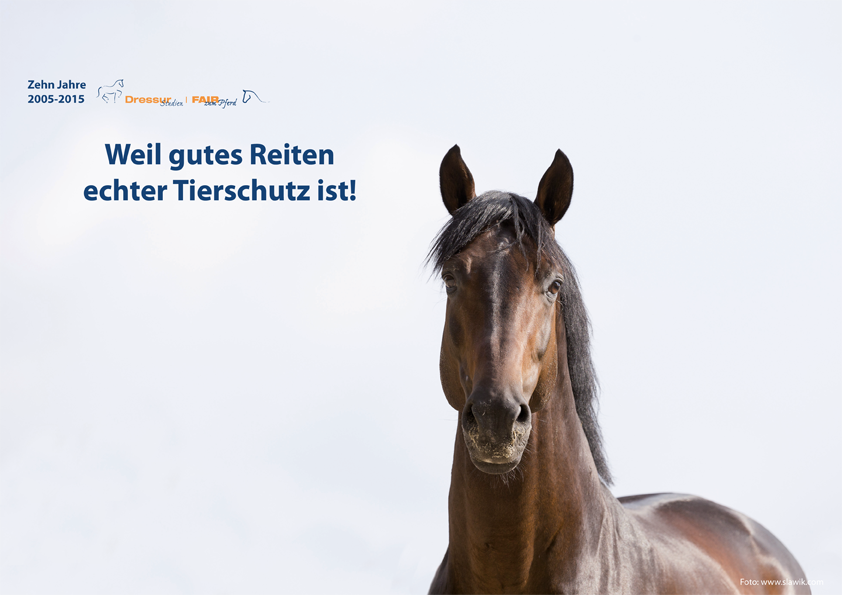 Richard Hinrichs: „Guter Schritt ist Reitkultur“