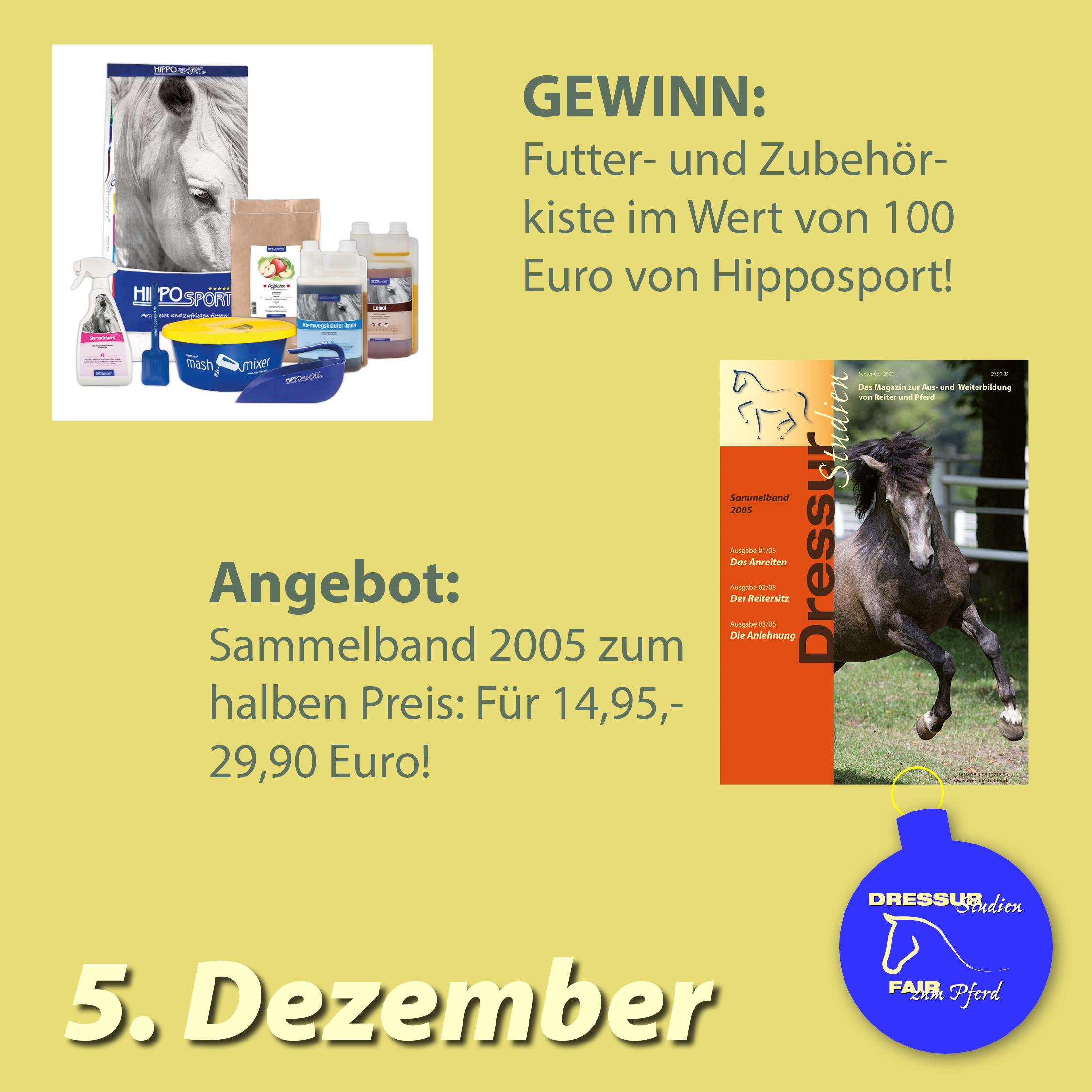 5-dezember-2022-dressur-studien