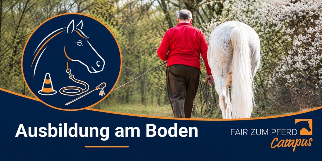 Man und Pferd von hinten sichtbar.