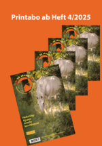 Abo print ab Heft 4/2025: "Hufschlagfiguren kreativ kombinieren" (nächstes Heft)