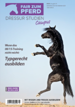 Steigendes Pferd (Rappe) vor blauem /Himmel (Hintergrund)