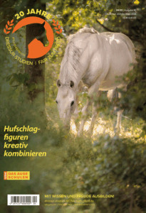 Pferd steht in einem Wald und grast: Mr.P.