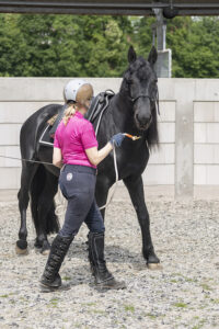 Frau wärmt Pferd an der Hand auf und lässt es seitwärts übertreten. Foto: Christiane Slawik