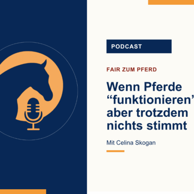 Titel "Wenn Pferde funktionieren, aber trotzdem nichts stimmt".