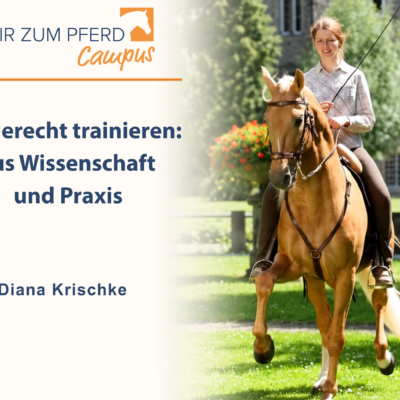 Diana reitet auf Fuchs