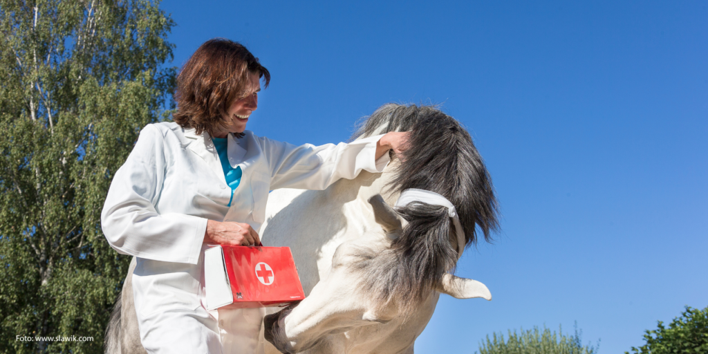 Frau in Arztkittel mit Pferd, das einen Verband um den Hals hat (Claudia und Mr.P., ca. 2021. Foto: Christiane Slawik