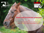 Foto eines Pferdes mit Schmerzen und alle Referenten der WiKo aufgelistet