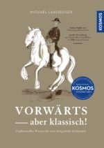 Zeichnung eines Lipizzaners und seines Reiters