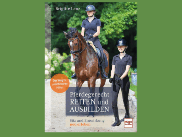 Reiterin auf Pferd, Ausbilderin daneben am Boden.