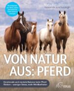 5 Wildpferde stehen in der Steppe