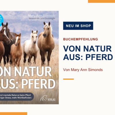 Fünf Pfrde auf Cover