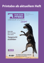 Titelbild mit steigendem Rappen in der Wüste