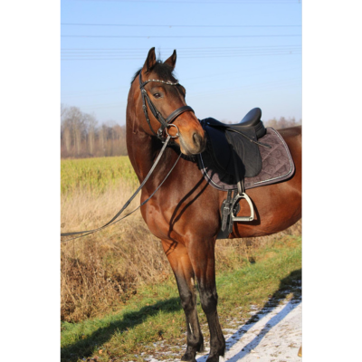 sattlerliste 400×400