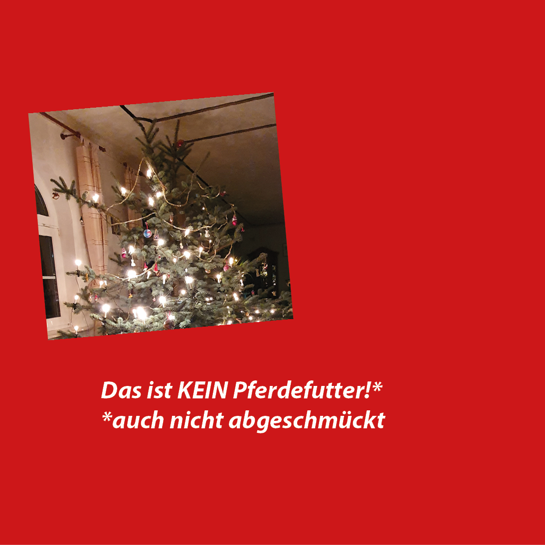 Weihnachtsbäume sind kein Pferdefutter!
