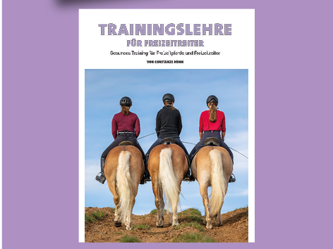 Conny Röhm: Trainingslehre – und das mit Plan für alle Pferde!