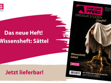 Cover vom Wissnsheft Sättel, mit einem Sattel, der verdeckt auf einem Hocker liegt.