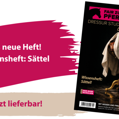 Cover vom Wissnsheft Sättel, mit einem Sattel, der verdeckt auf einem Hocker liegt.